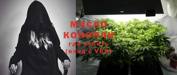 молекула духа Няндома
