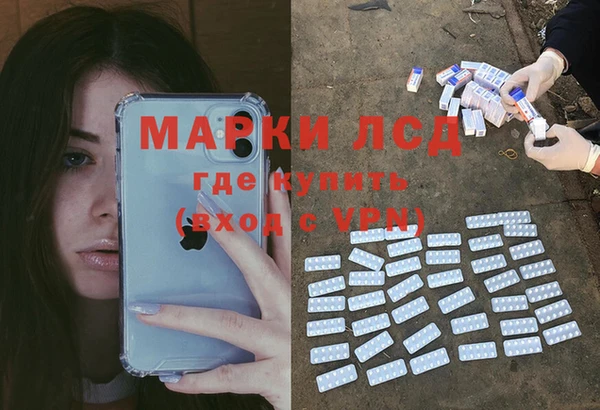 прущие грибы Осташков