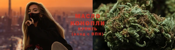 молекула духа Няндома