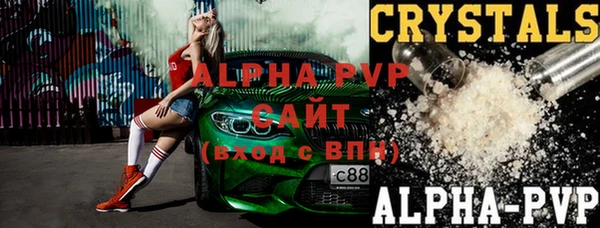 прущие грибы Осташков