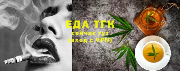 молекула духа Няндома