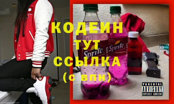 прущие грибы Осташков