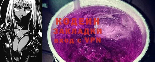 молекула духа Няндома