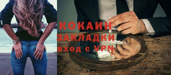 молекула духа Няндома