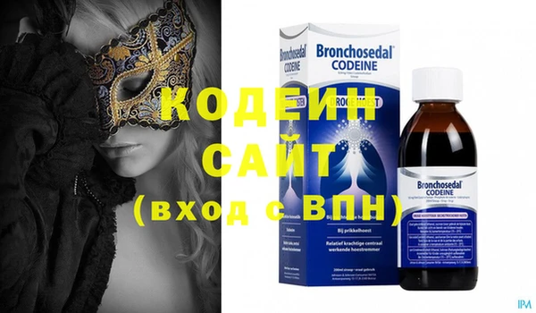 молекула духа Няндома