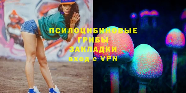 молекула духа Няндома